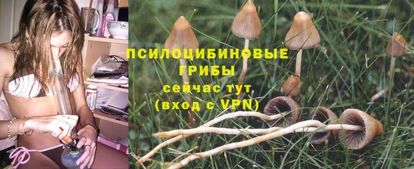 прущая мука Горнозаводск