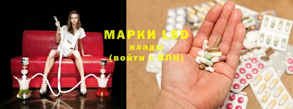 PSILOCYBIN Горно-Алтайск