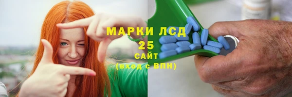 PSILOCYBIN Горно-Алтайск