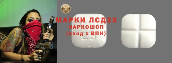 PSILOCYBIN Горно-Алтайск